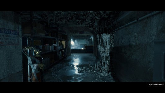 Death Stranding Director's Cut (PS5)