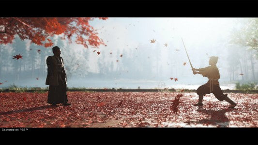 Ghost Of Tsushima Directors Cut (PS5)